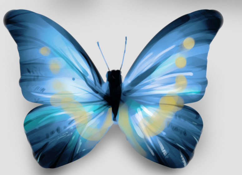 Butterfly.jpg