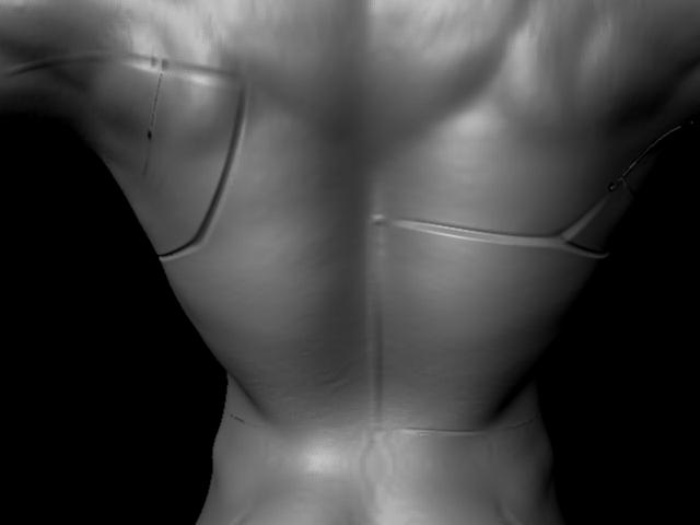 back.jpg