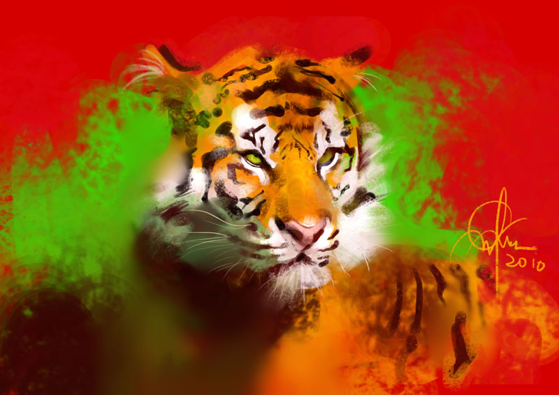 Tiger.jpg