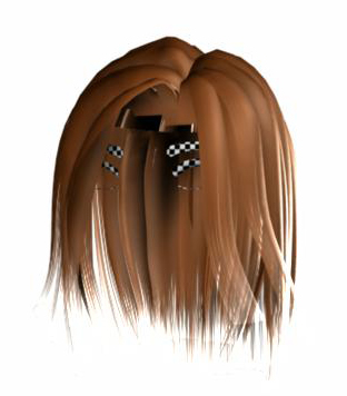 testhair2.jpg