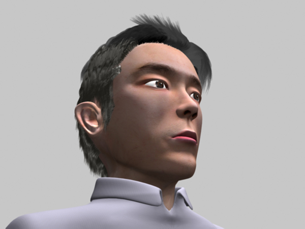 head_with_hair8.jpg