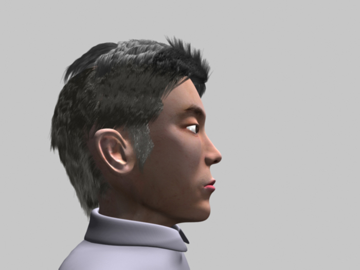 head_with_hair10.jpg