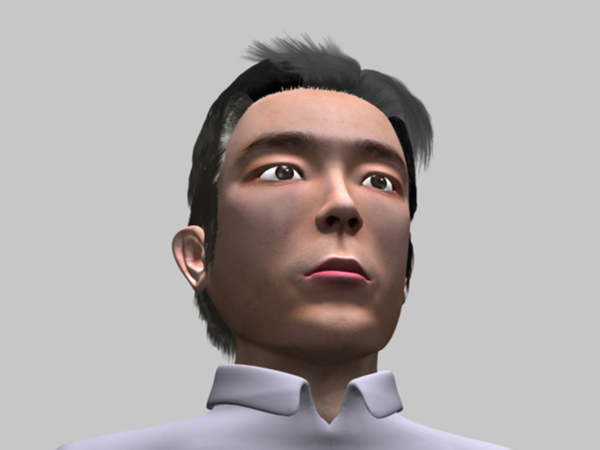 head_with_hair11.jpg