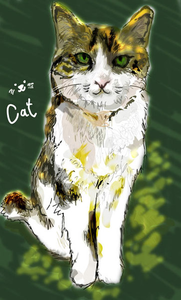 cat.jpg