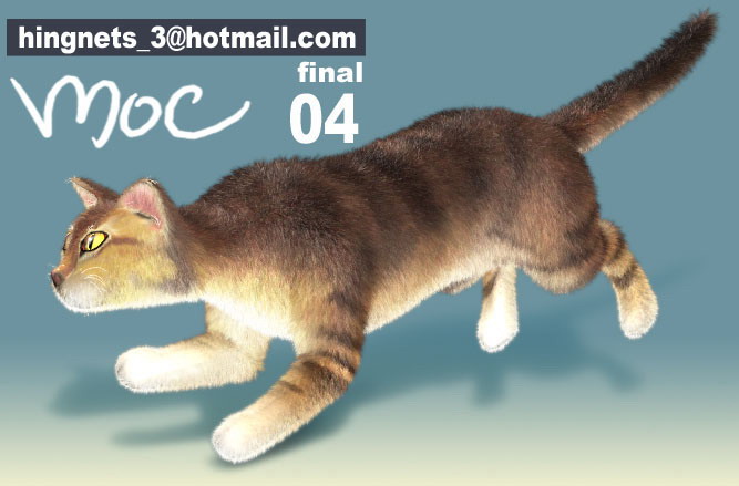cat.jpg