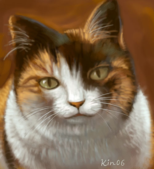 cat.jpg
