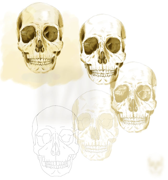 skull_making.jpg