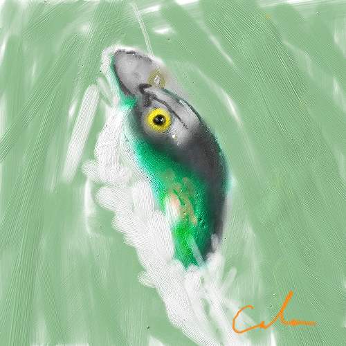 fishing.JPG