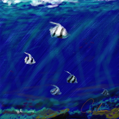 fish2.jpg