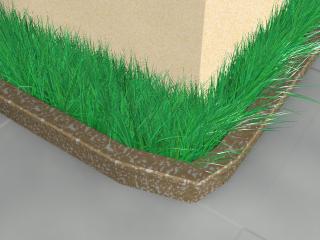 grass.jpg