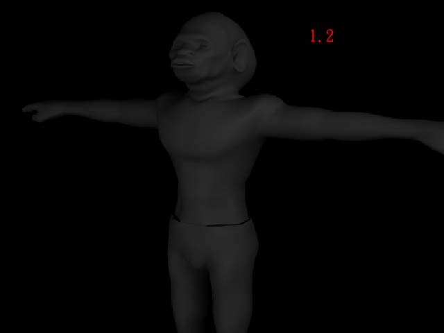 a9.jpg