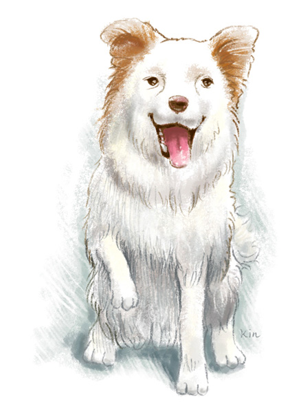 Dog-1.jpg