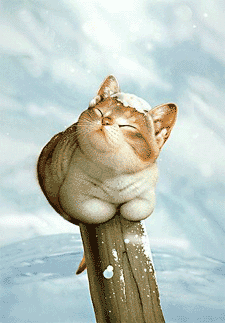 1699554-012237-embed.gif