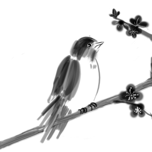 bird copy.jpg