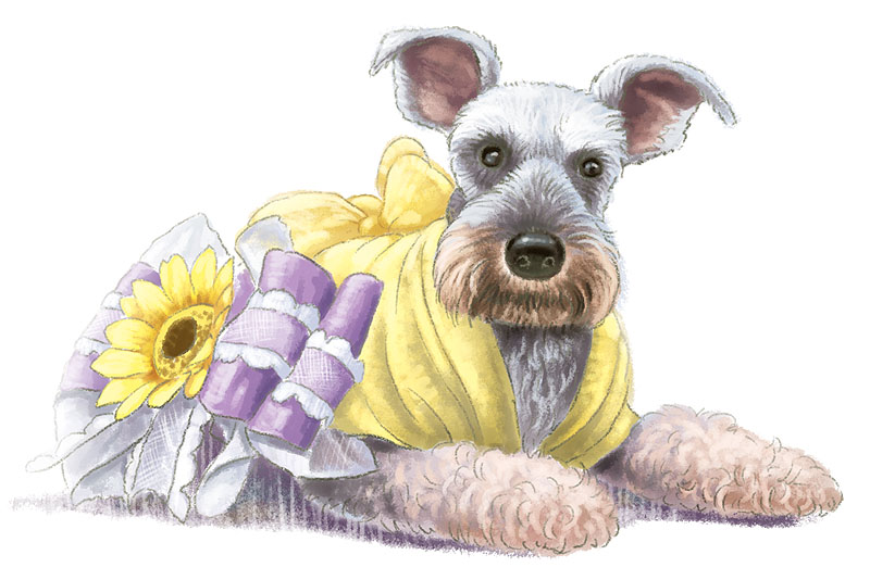 Dog_2.jpg