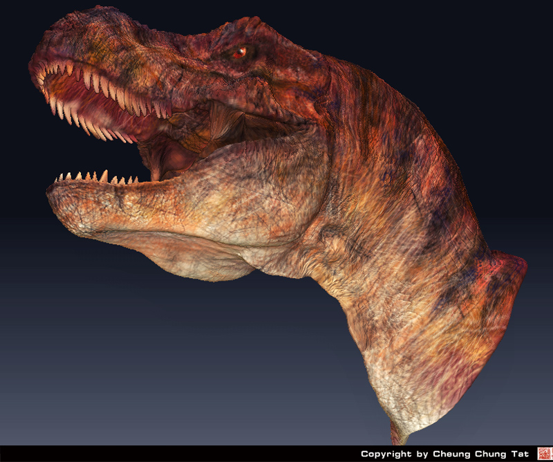 t-rex_head_2.jpg