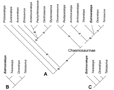 20071017_827e6cd107ac0ed118e9VaTqezPXIbqq.gif