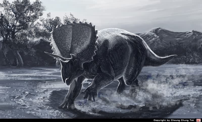 荒漠始三角&#40857;Eotriceratops xerinsularis.jpg