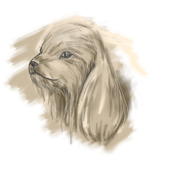 dog .jpg