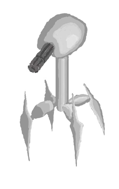 gg2.jpg