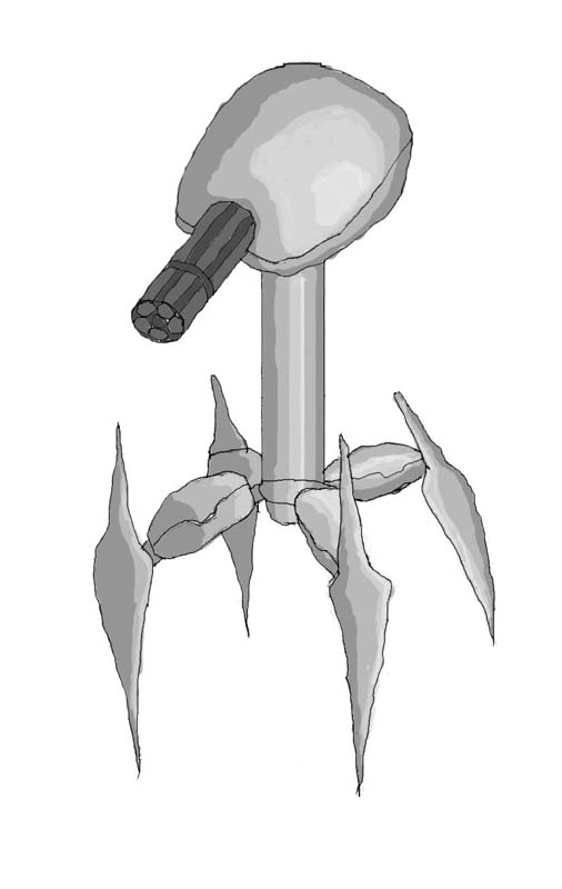 gg1.jpg