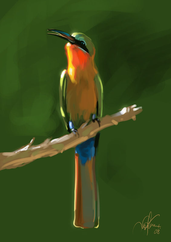 bird.jpg