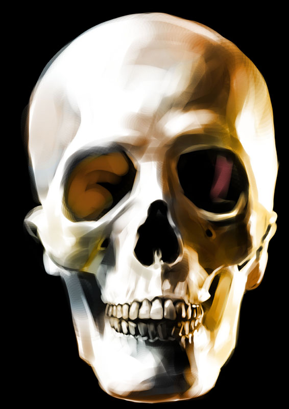 skull 1 color.jpg