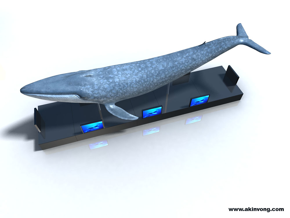 BlueWhale-I02.jpg