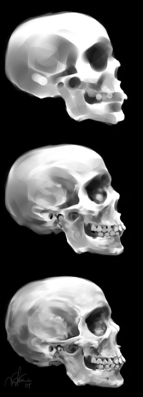 Skull 2 WIP.jpg