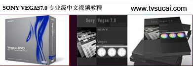 SONY VEGAS7.0&#19987;&#19994;&#32423;中文&#35270;&#39057;教程.jpg
