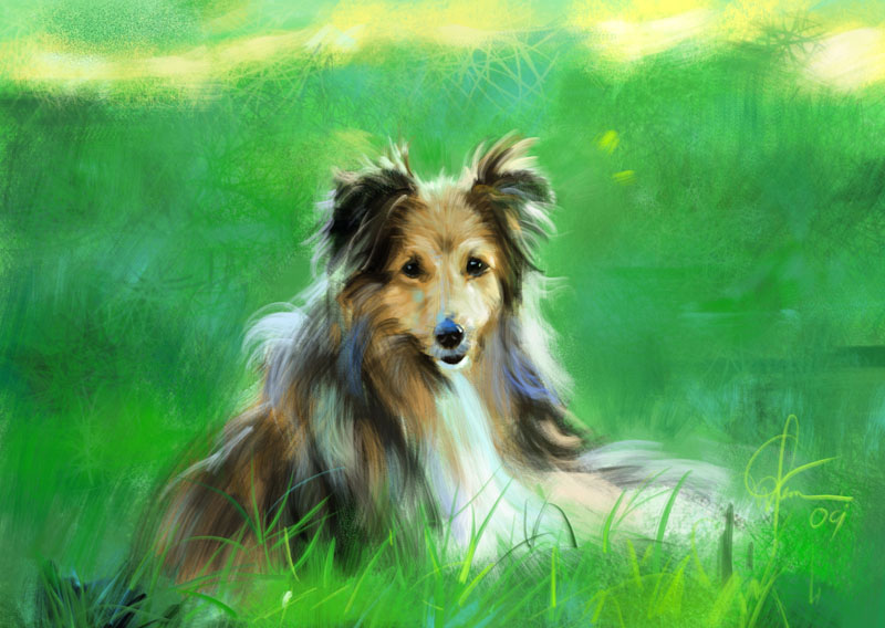 puppy.jpg